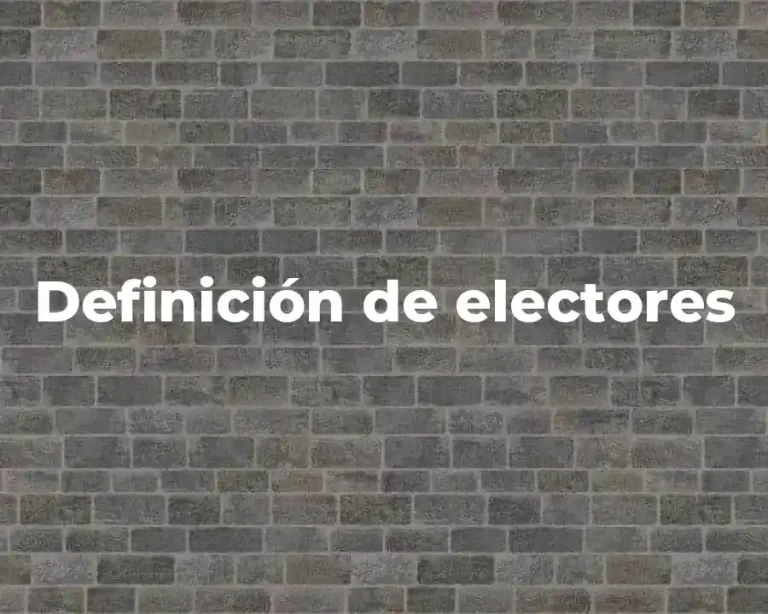 Definición de electores