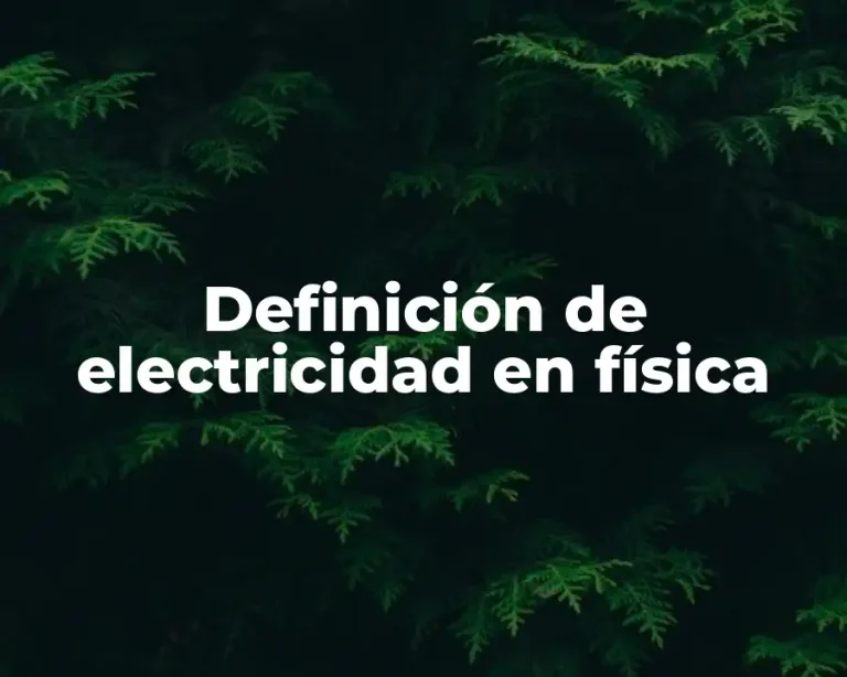 Definición de electricidad en física