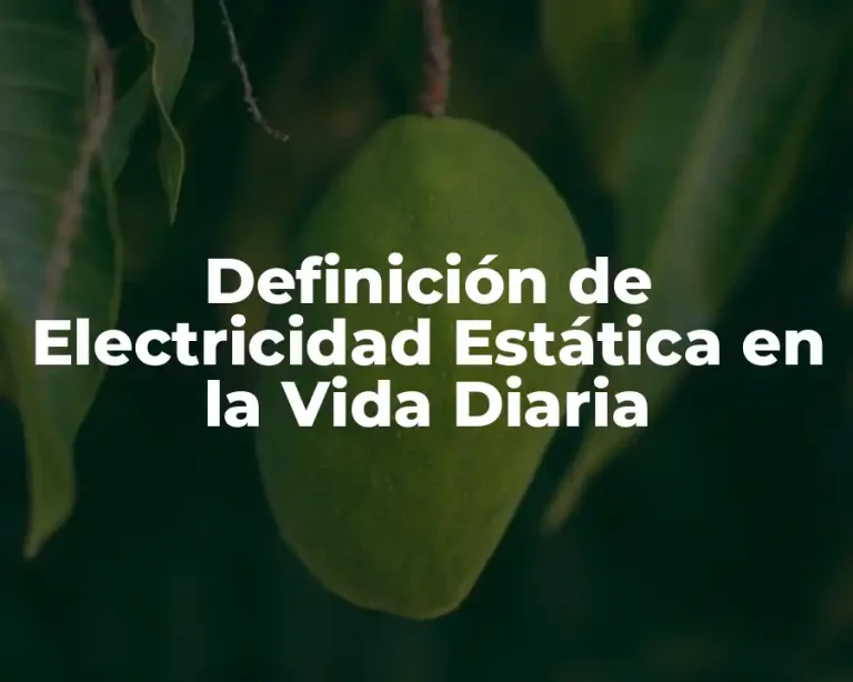 Definición de Electricidad Estática en la Vida Diaria