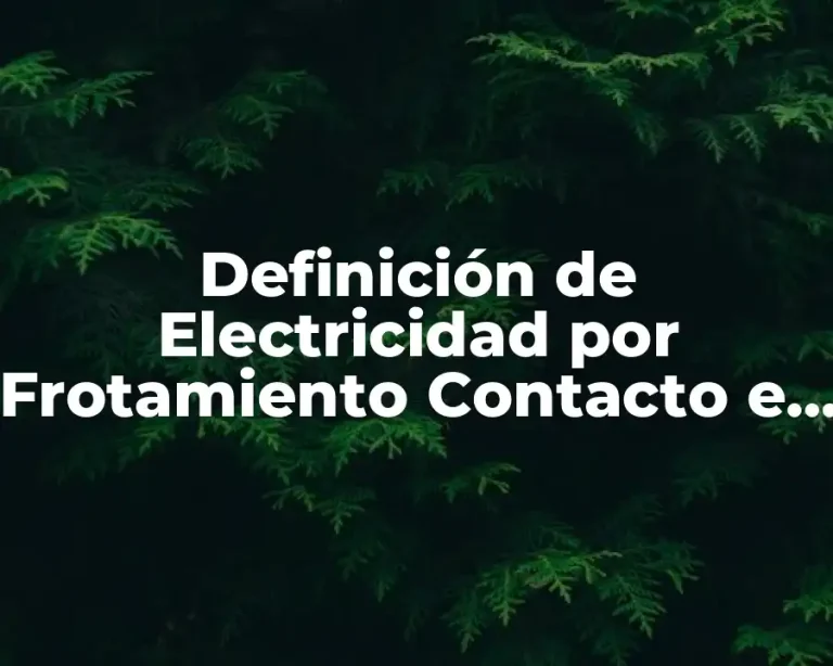 Definición de Electricidad por Frotamiento Contacto e Introducción
