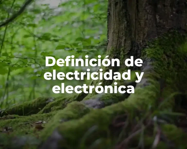 Definición de electricidad y electrónica