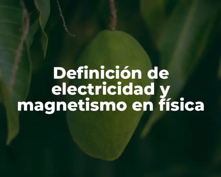 Definición de electricidad y magnetismo en física
