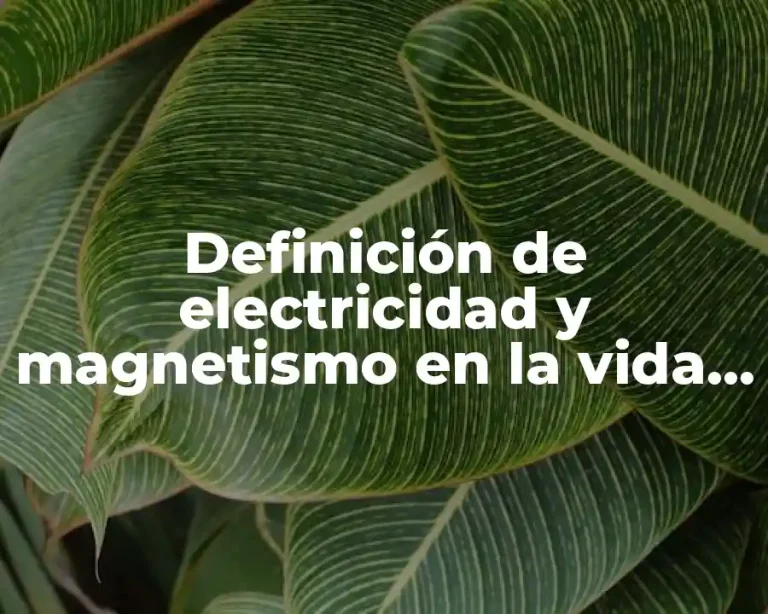 Definición de electricidad y magnetismo en la vida cotidiana