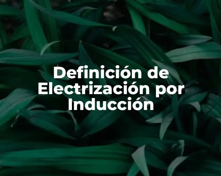 Definición de Electrización por Inducción
