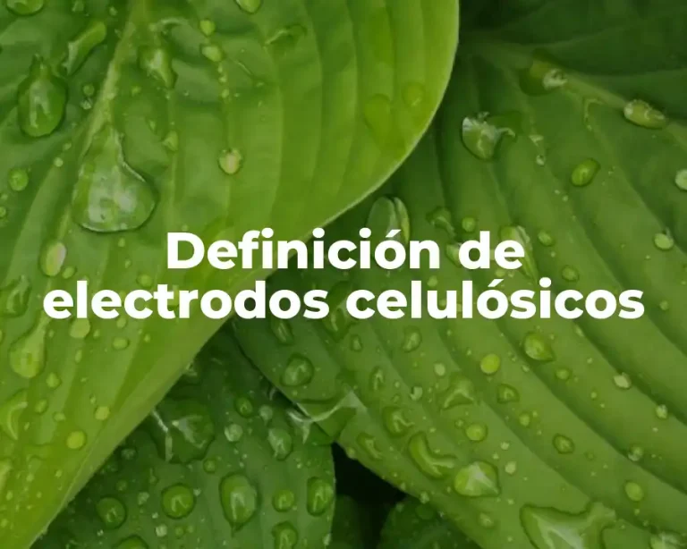 Definición de electrodos celulósicos