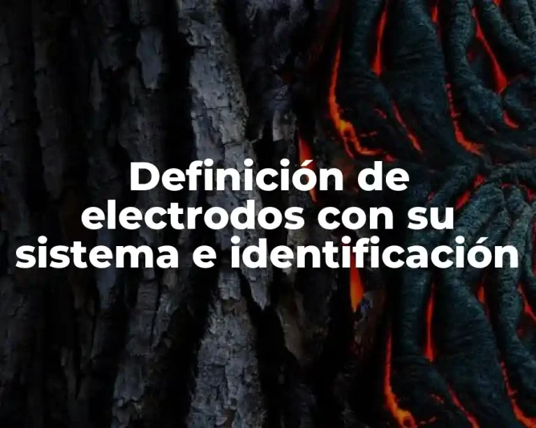 Definición de electrodos con su sistema e identificación