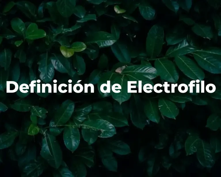 Definición de Electrofilo