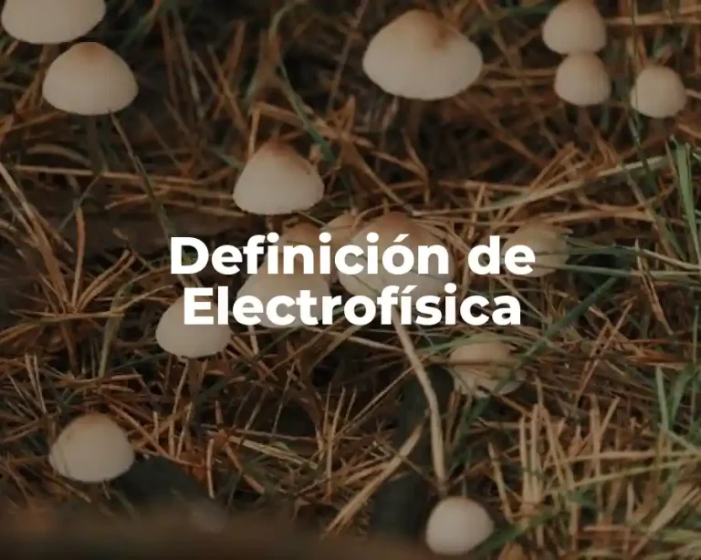 Definición de Electrofísica
