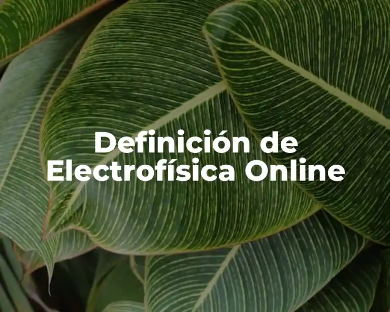 Definición de Electrofísica Online
