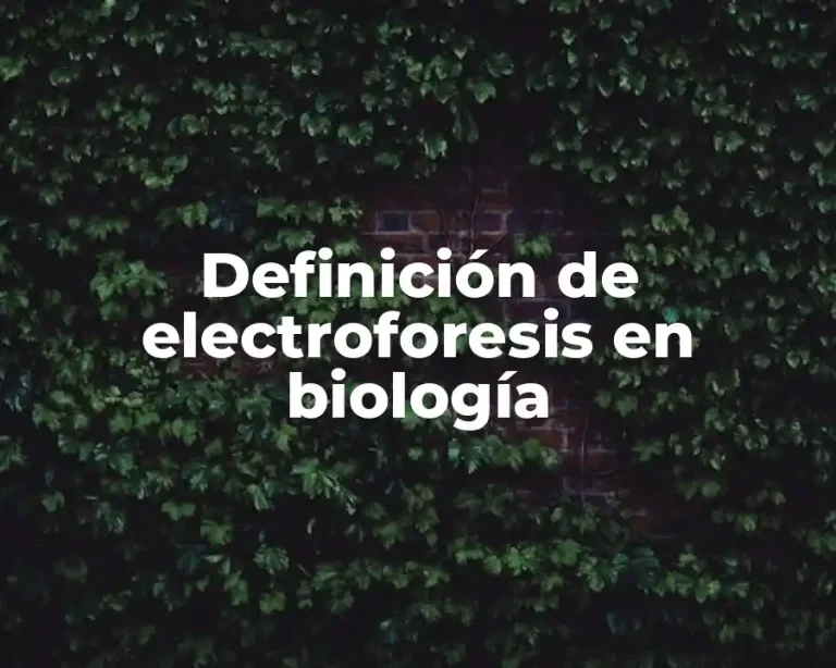 Definición de electroforesis en biología