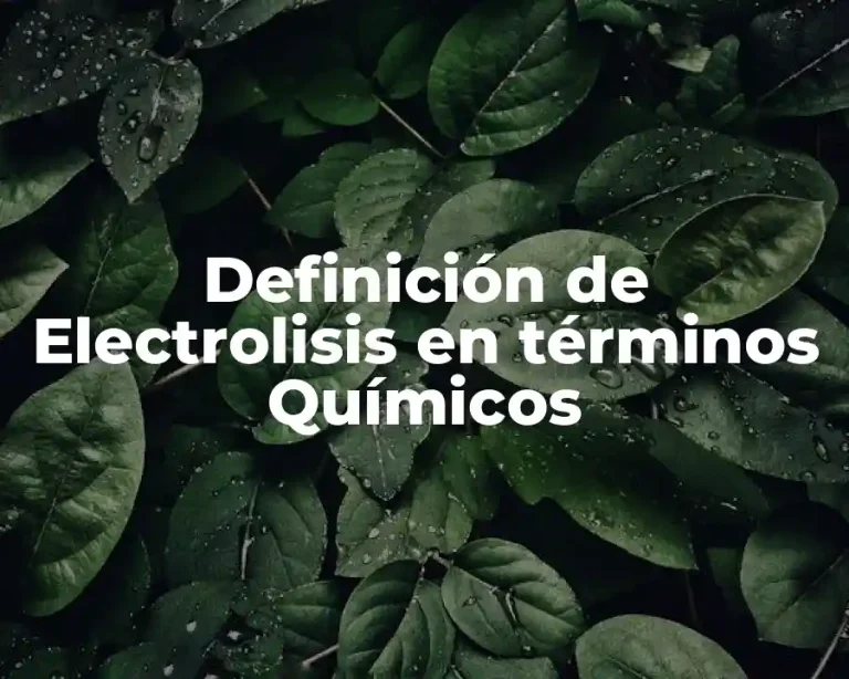 Definición de Electrolisis en términos Químicos