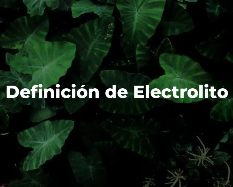 Definición de Electrolito