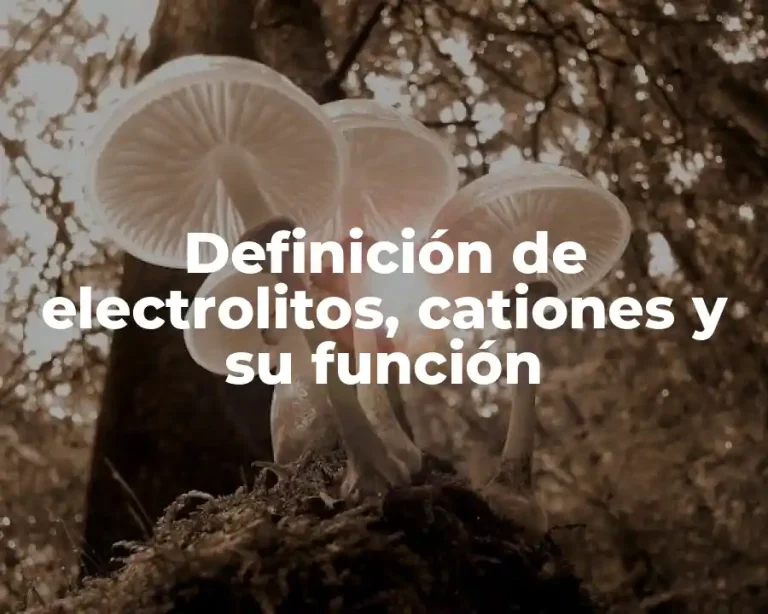 Definición de electrolitos, cationes y su función