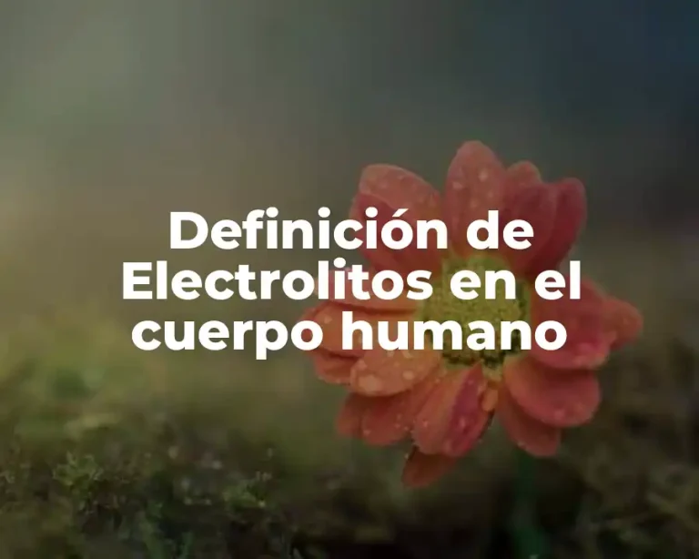 Definición de Electrolitos en el cuerpo humano