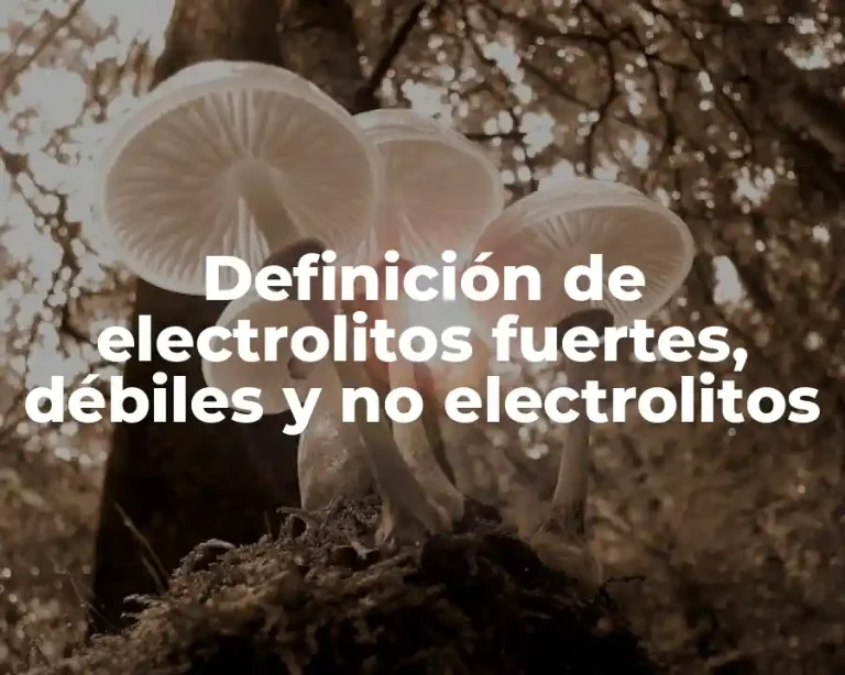 Definición de electrolitos fuertes, débiles y no electrolitos