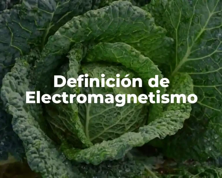 Definición de Electromagnetismo