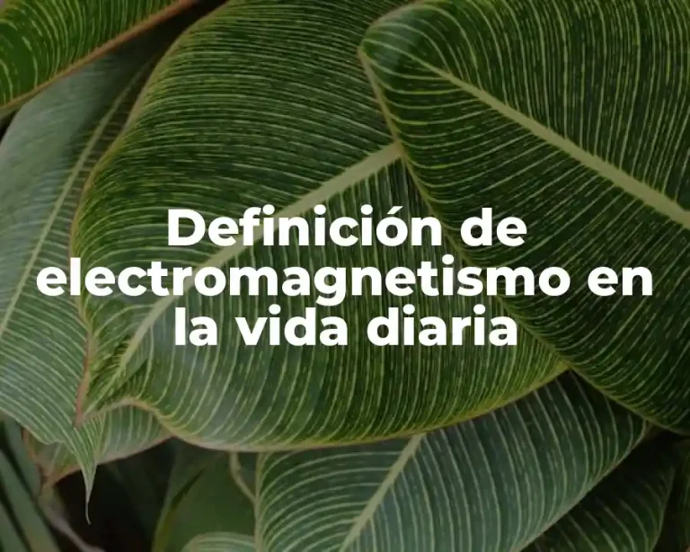Definición de electromagnetismo en la vida diaria