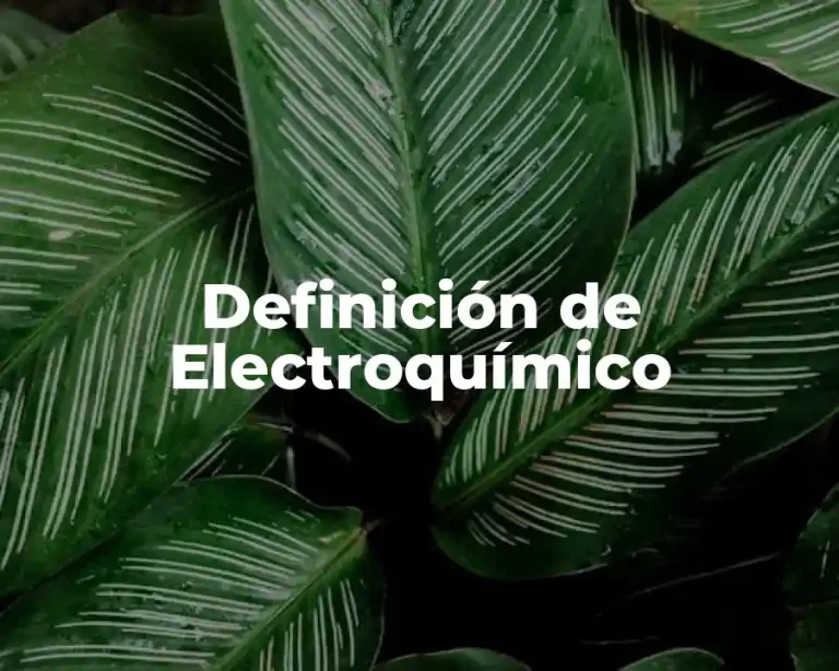 Definición de Electroquímico
