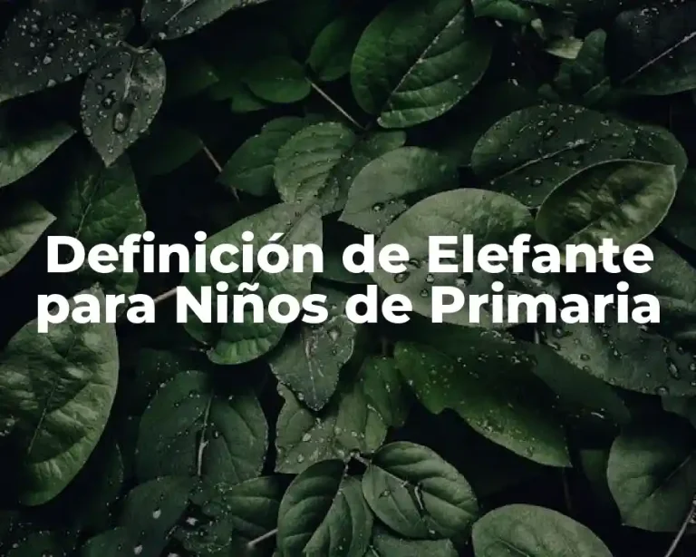 Definición de Elefante para Niños de Primaria