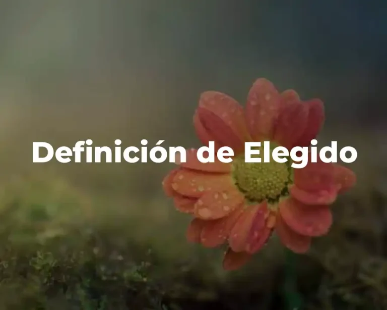 Definición de Elegido