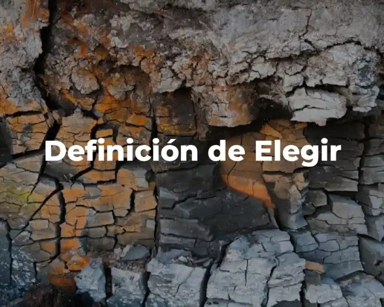 Definición de Elegir