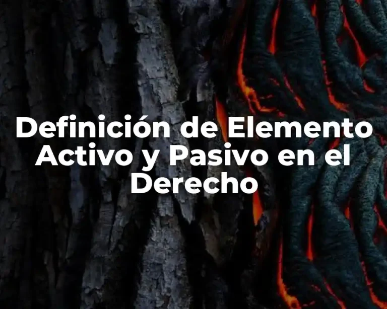 Definición de Elemento Activo y Pasivo en el Derecho