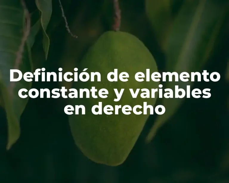 Definición de elemento constante y variables en derecho