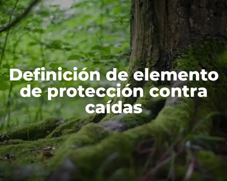 Definición de elemento de protección contra caídas