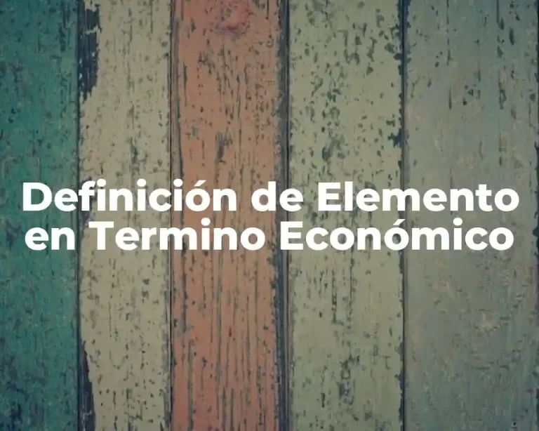 Definición de Elemento en Termino Económico