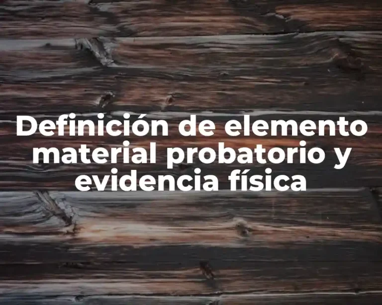 Definición de elemento material probatorio y evidencia física