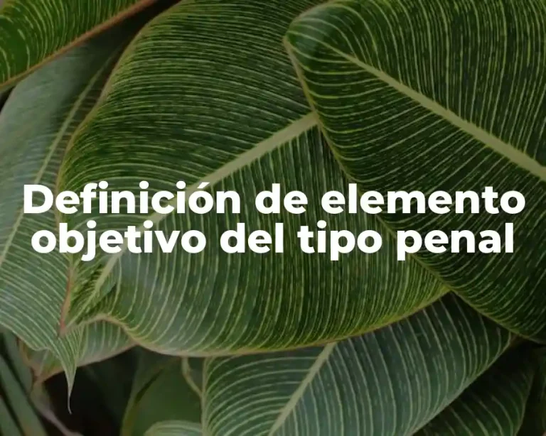 Definición de elemento objetivo del tipo penal