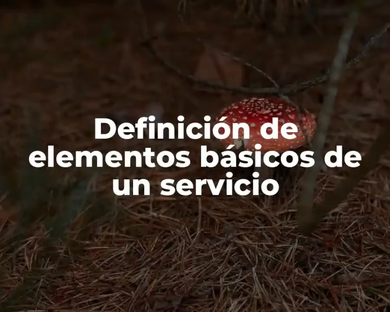 Definición de elementos básicos de un servicio
