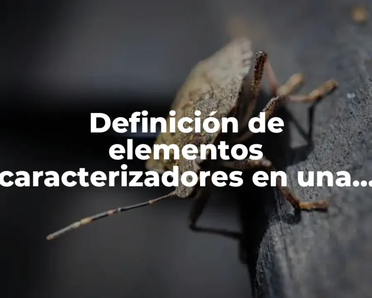 Definición de elementos caracterizadores en una obra dramática