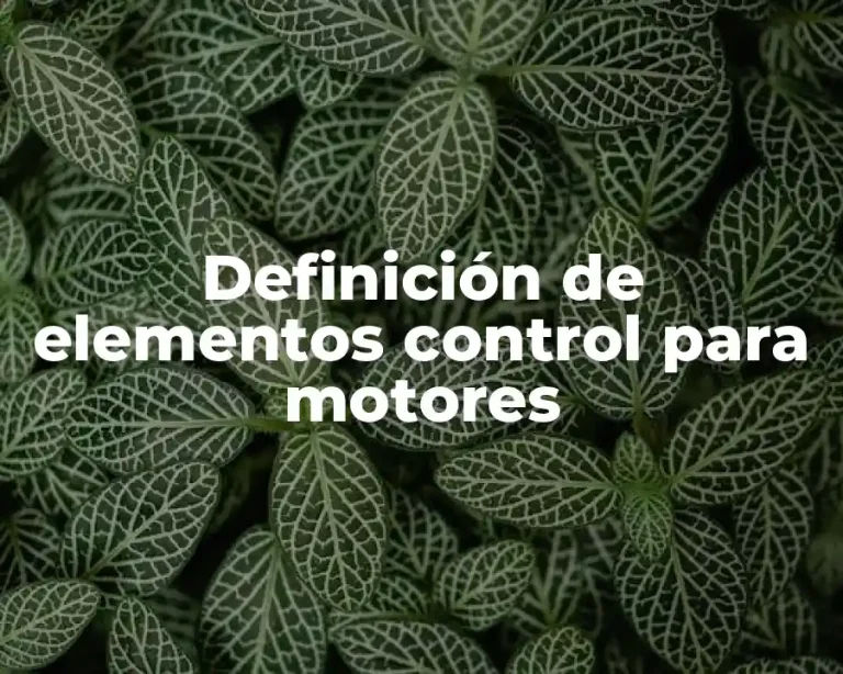 Definición de elementos control para motores