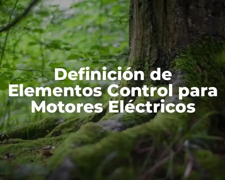 Definición de Elementos Control para Motores Eléctricos