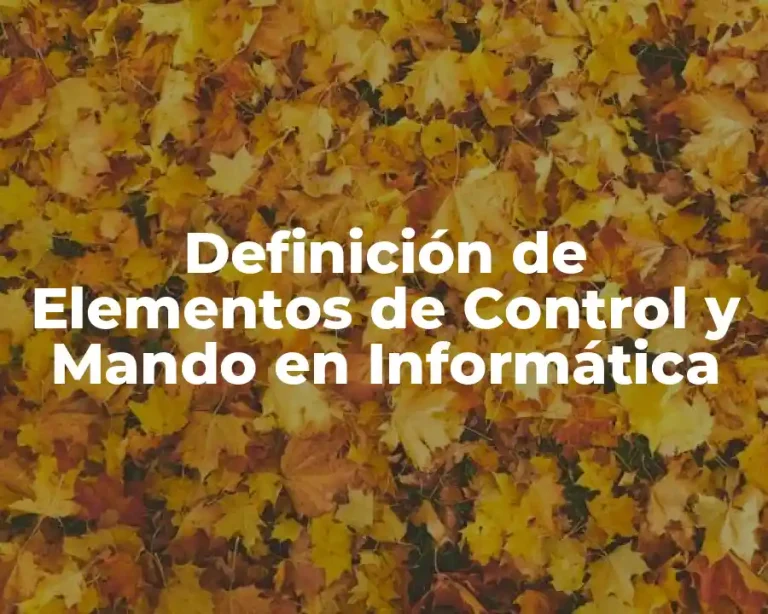 Definición de Elementos de Control y Mando en Informática