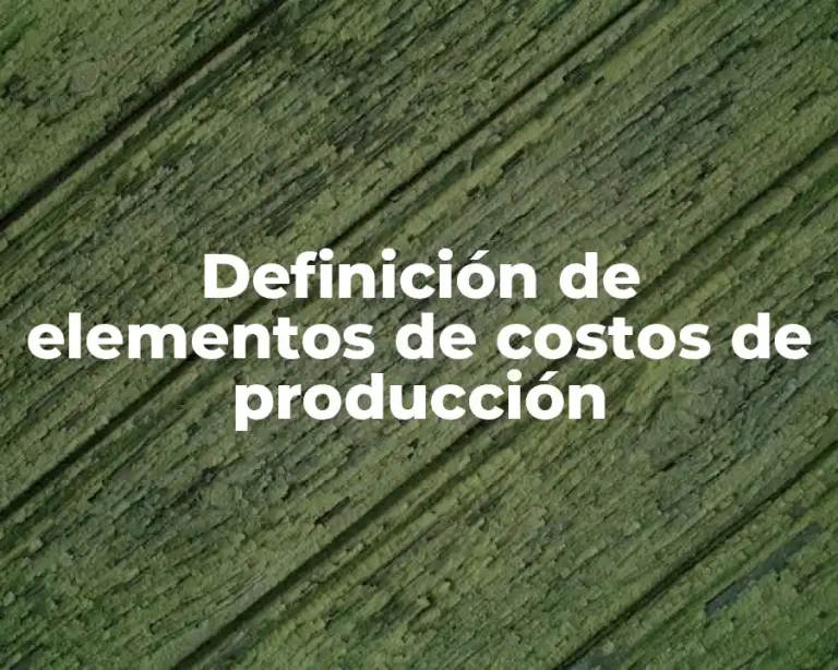 Definición de elementos de costos de producción
