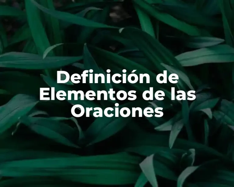 Definición de Elementos de las Oraciones