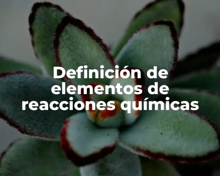 Definición de elementos de reacciones químicas
