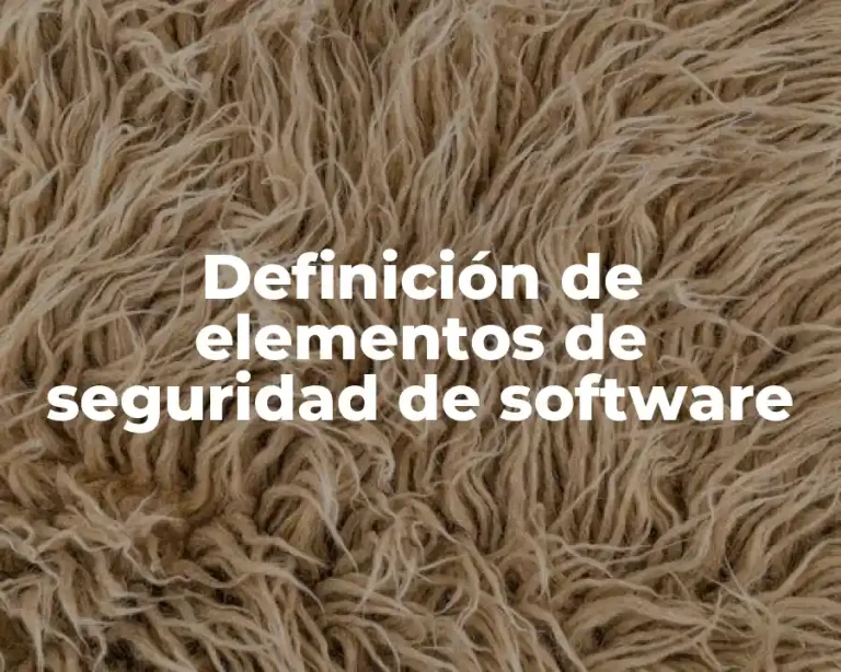 Definición de elementos de seguridad de software