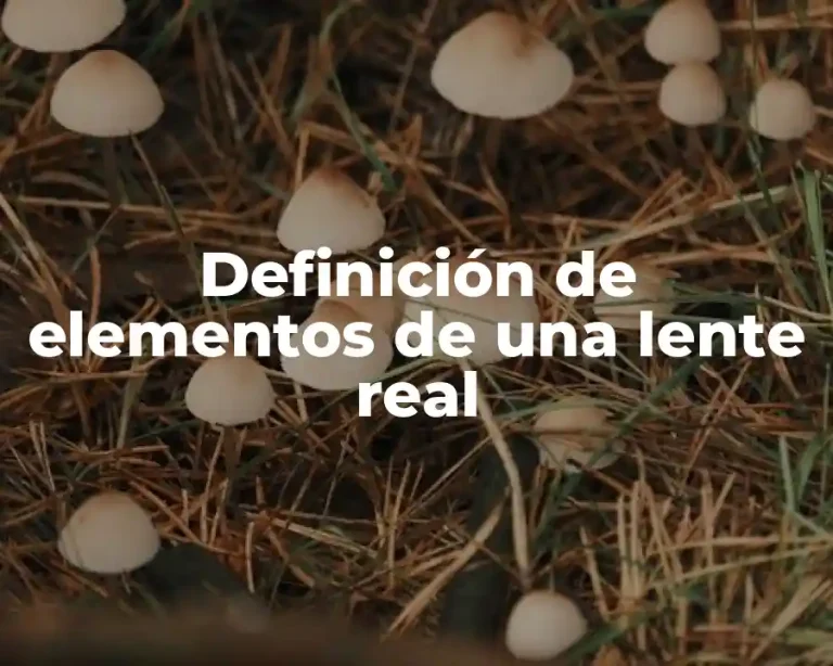 Definición de elementos de una lente real