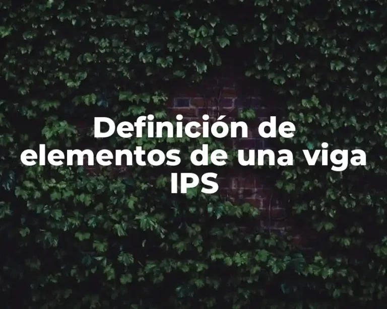 Definición de elementos de una viga IPS