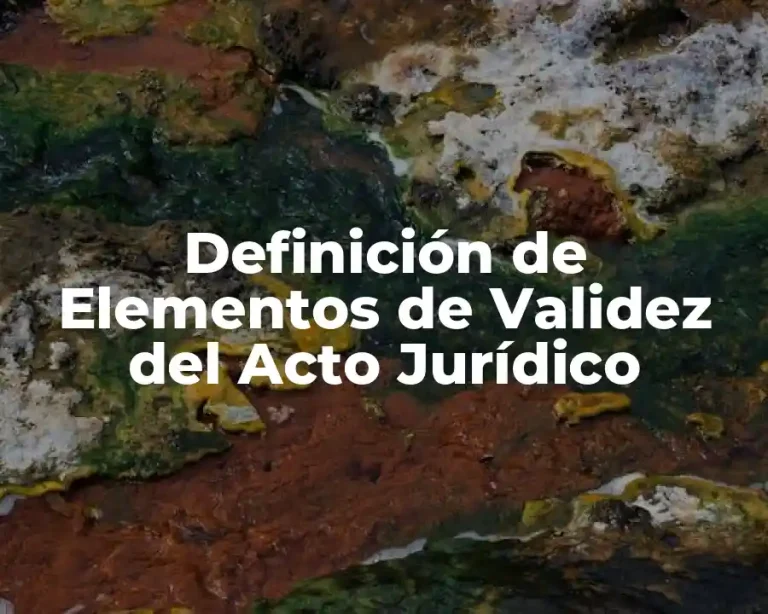 Definición de Elementos de Validez del Acto Jurídico