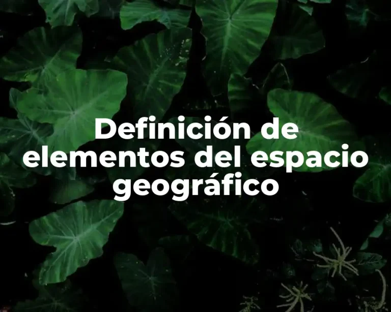 Definición de elementos del espacio geográfico