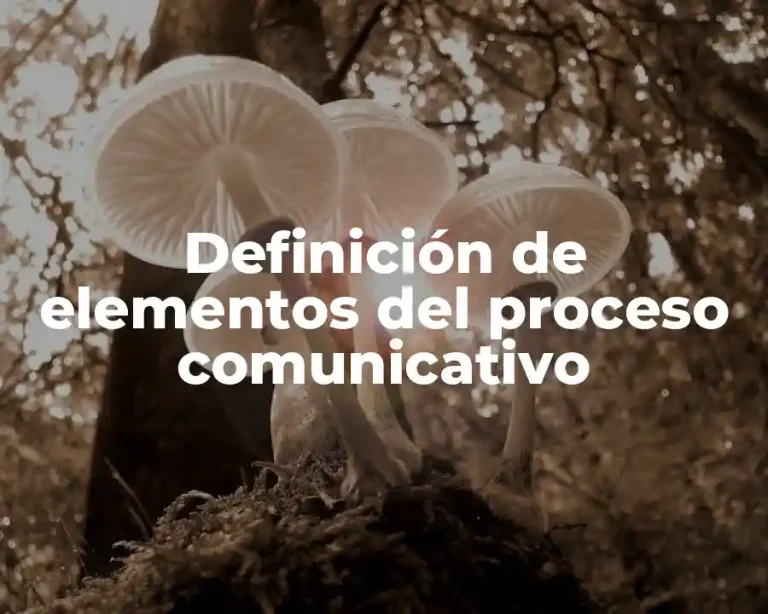Definición de elementos del proceso comunicativo