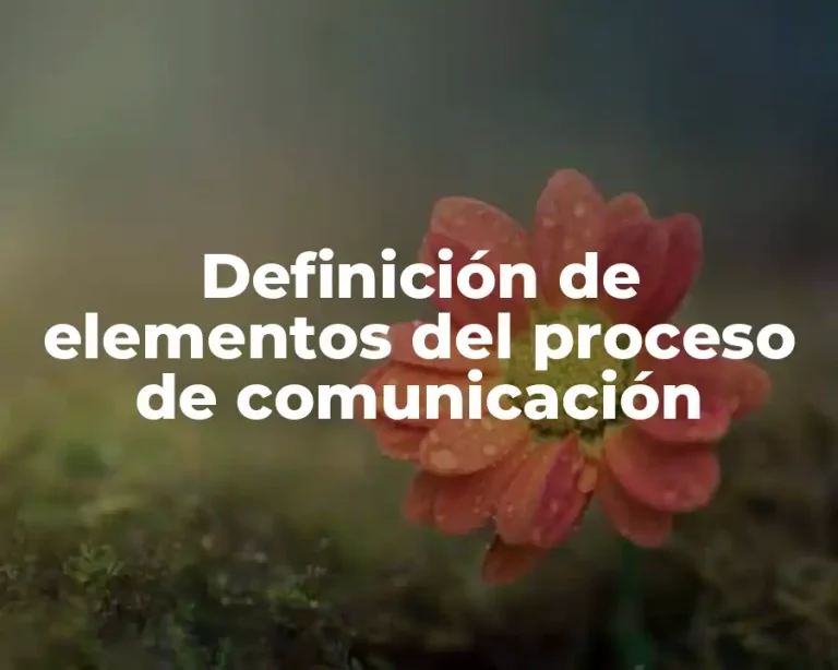 Definición de elementos del proceso de comunicación