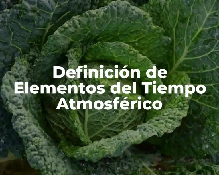 Definición de Elementos del Tiempo Atmosférico