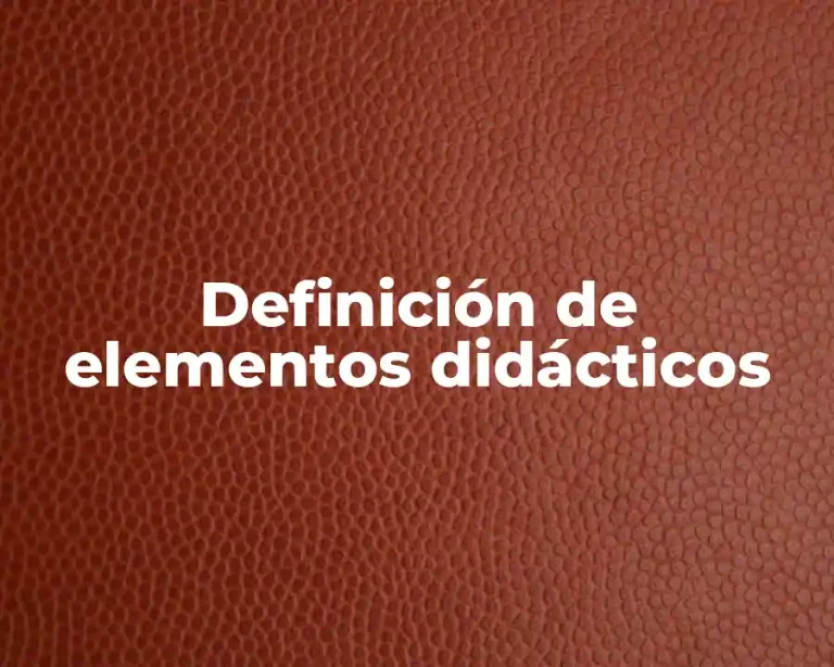Definición de elementos didácticos