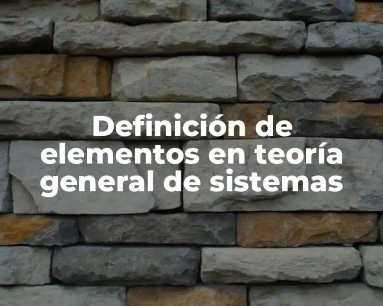 Definición de elementos en teoría general de sistemas