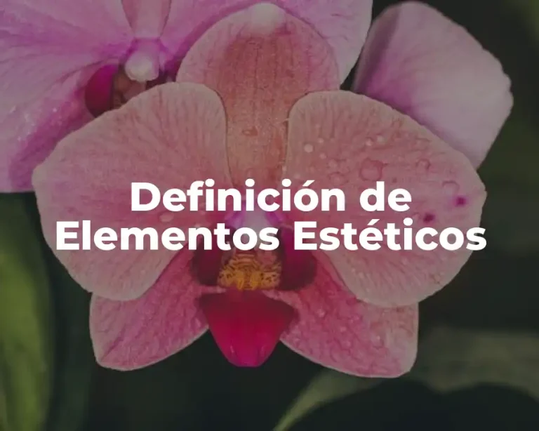 Definición de Elementos Estéticos